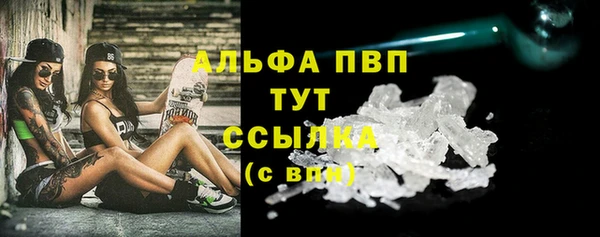 шишки Белоозёрский