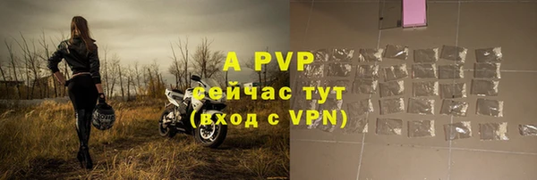 шишки Белоозёрский