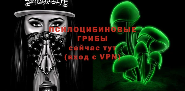 бошки Белокуриха