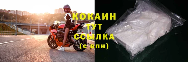 шишки Белоозёрский