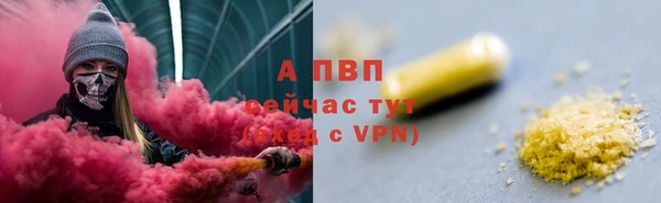 шишки Белоозёрский