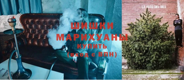 бошки Белокуриха