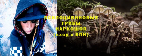 шишки Белоозёрский