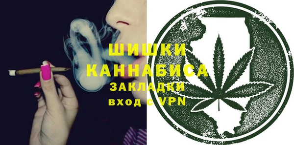 шишки Белоозёрский