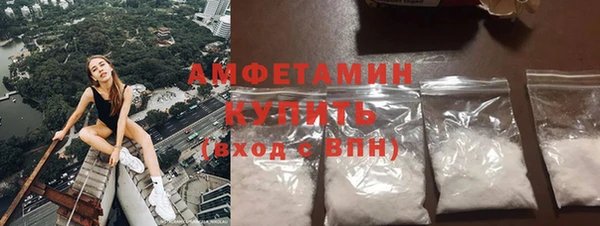 шишки Белоозёрский