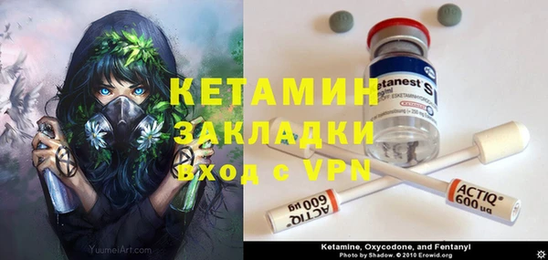 шишки Белоозёрский