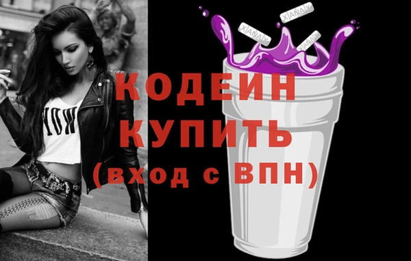 шишки Белоозёрский