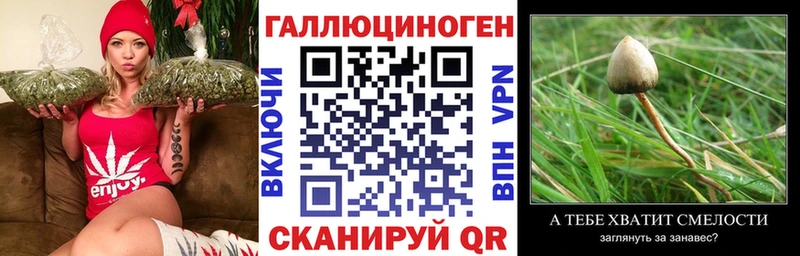 Купить  Северобайкальск  Псилоцибиновые грибы Psilocybine cubensis 